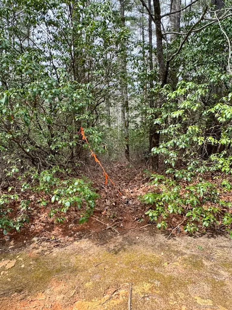 72 Big Pine Road Sapphire NC 28774