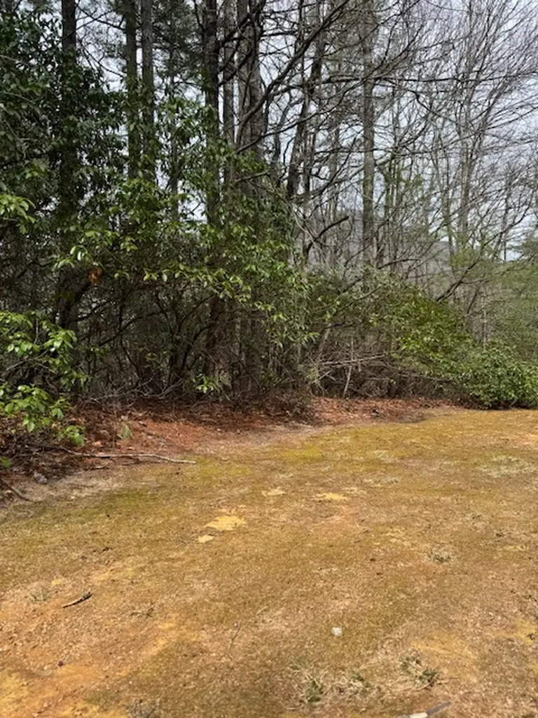 72 Big Pine Road Sapphire NC 28774