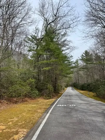 72 Big Pine Road Sapphire NC 28774