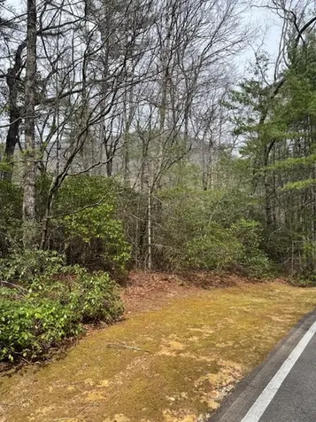 72 Big Pine Road Sapphire NC 28774
