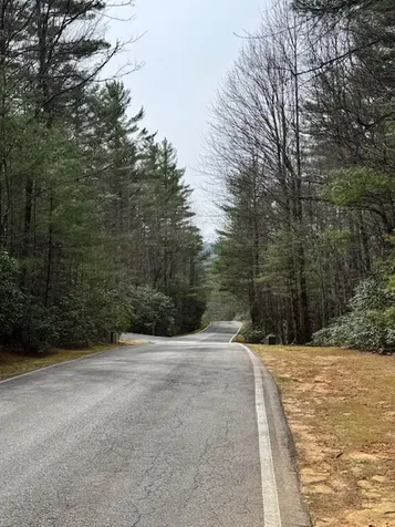 72 Big Pine Road Sapphire NC 28774