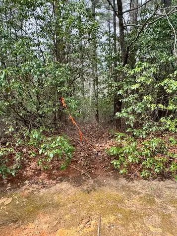 72 Big Pine Road Sapphire NC 28774