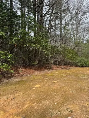 72 Big Pine Road Sapphire NC 28774
