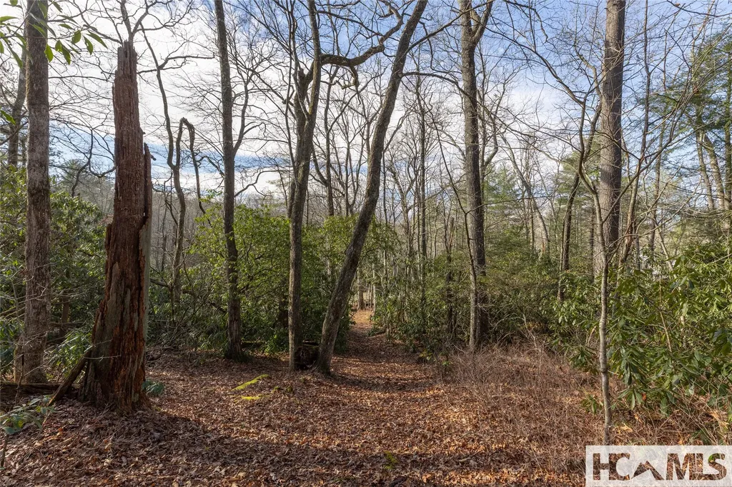 Lot 24 Ivy Gate Lane Cashiers NC 28717
