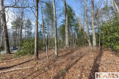 Lot 24 Ivy Gate Lane Cashiers NC 28717
