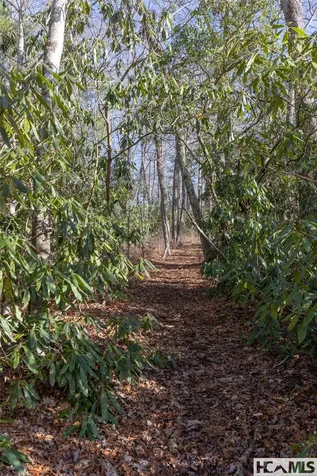 Lot 24 Ivy Gate Lane Cashiers NC 28717