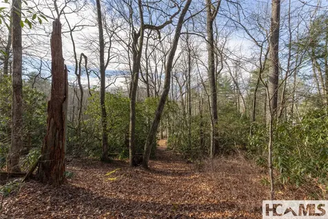 Lot 24 Ivy Gate Lane Cashiers NC 28717