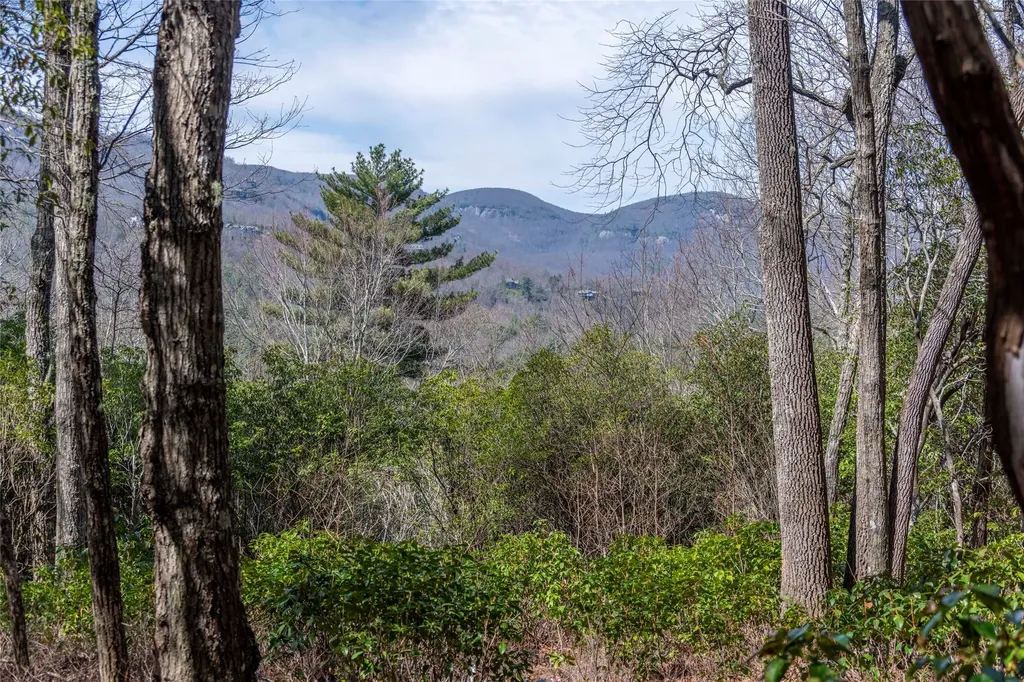 Ls 14 Lakeside Drive Lake Toxaway NC 28747