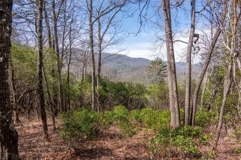 Ls 14 Lakeside Drive Lake Toxaway NC 28747