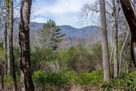 Ls 14 Lakeside Drive Lake Toxaway NC 28747