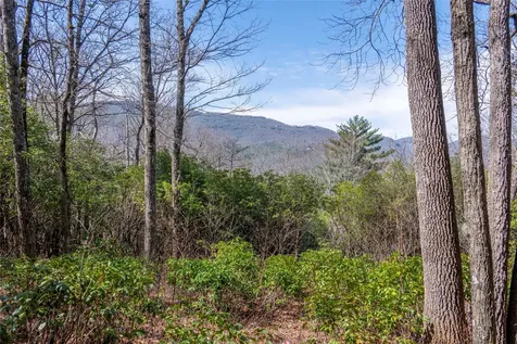 Ls 14 Lakeside Drive Lake Toxaway NC 28747