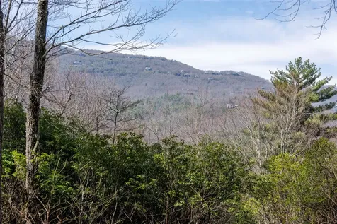 Ls 14 Lakeside Drive Lake Toxaway NC 28747