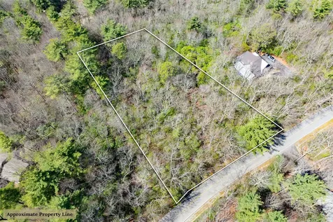 Ls 14 Lakeside Drive Lake Toxaway NC 28747