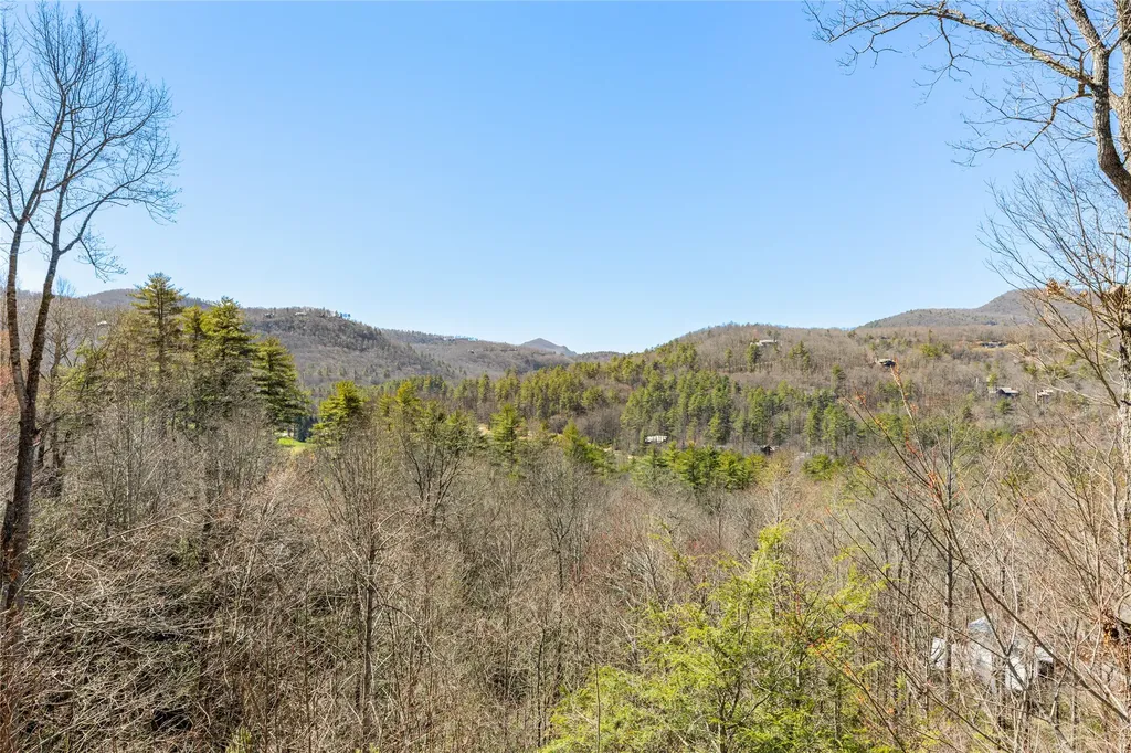 569 Pine Forest Road Sapphire NC 28774