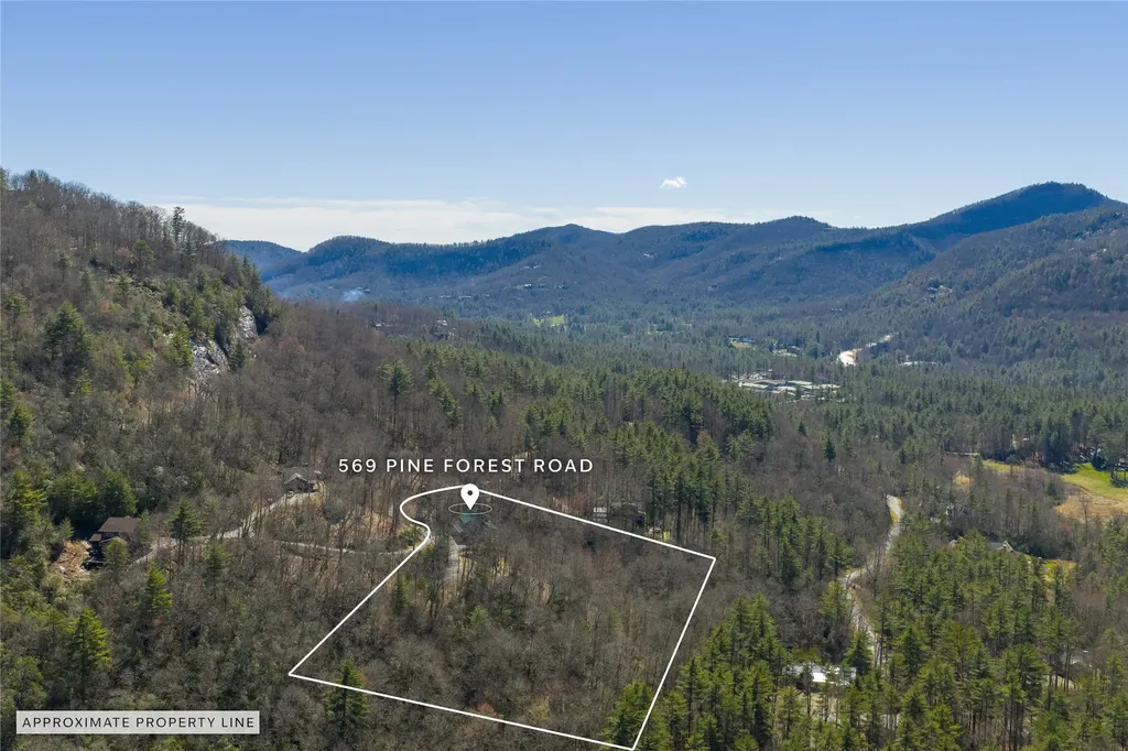 569 Pine Forest Road Sapphire NC 28774