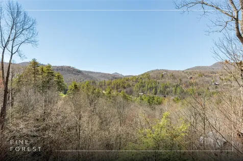 569 Pine Forest Road Sapphire NC 28774