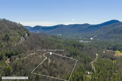 569 Pine Forest Road Sapphire NC 28774
