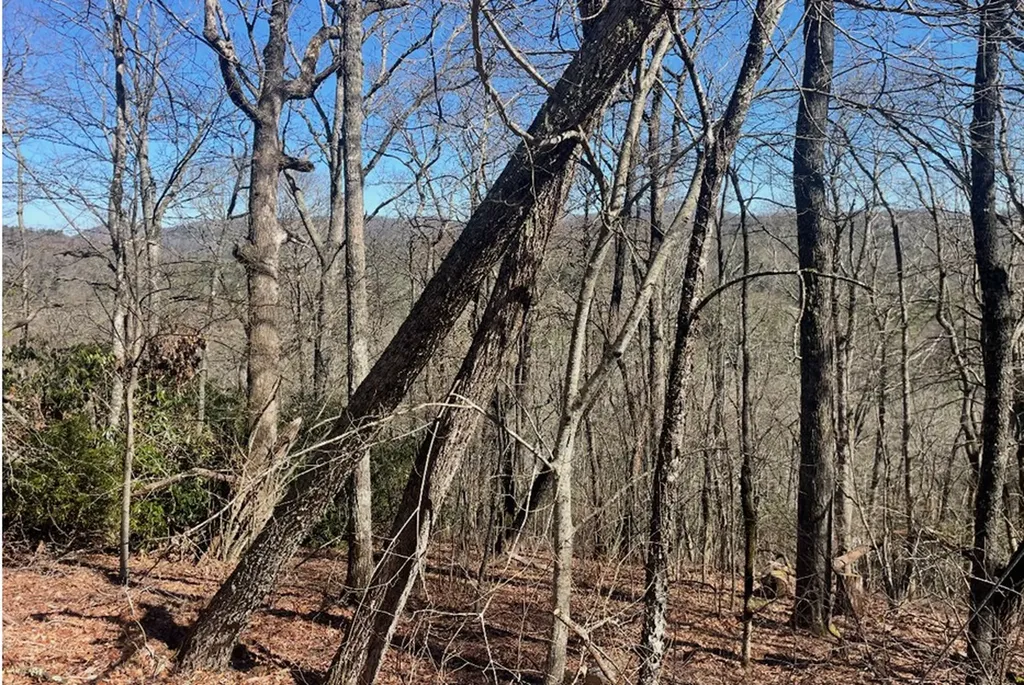 43A Hudson Road Highlands NC 28741
