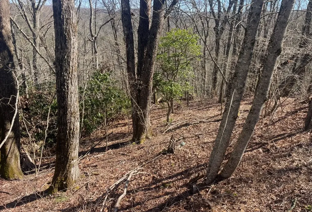 43A Hudson Road Highlands NC 28741