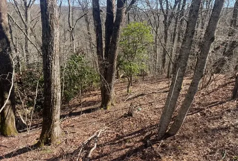 43A Hudson Road Highlands NC 28741