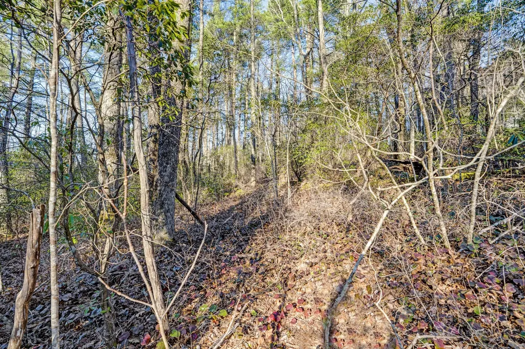 Lot 17 Bowery Highlands NC 28741