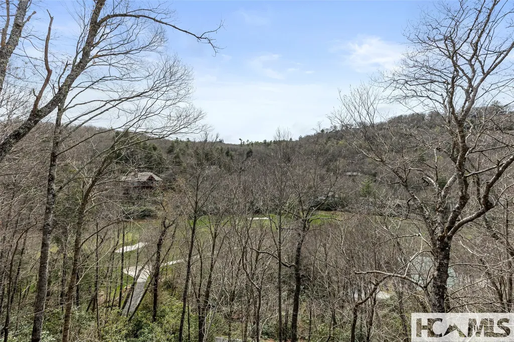 1406 Falls Drive West Highlands NC 28741