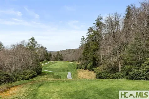 1406 Falls Drive West Highlands NC 28741