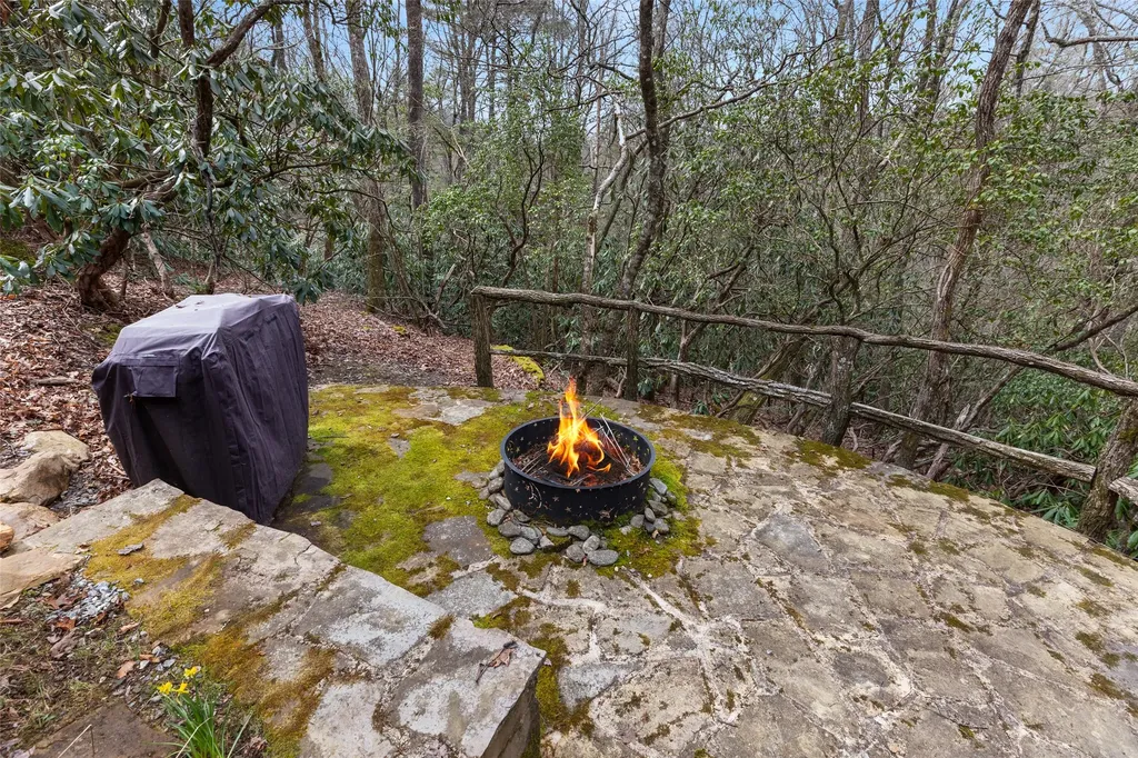 155 Springs Way Sapphire NC 28774