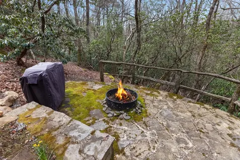 155 Springs Way Sapphire NC 28774