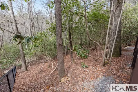 155 Springs Way Sapphire NC 28774