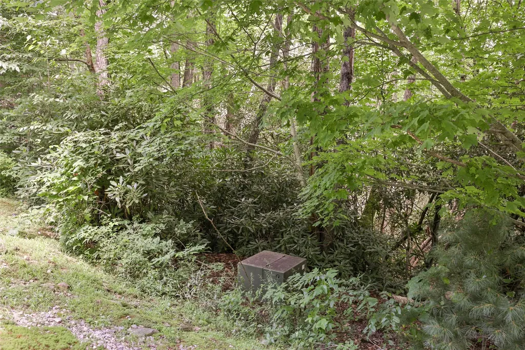 364 Cross Creek Trail Cullowhee NC 28723