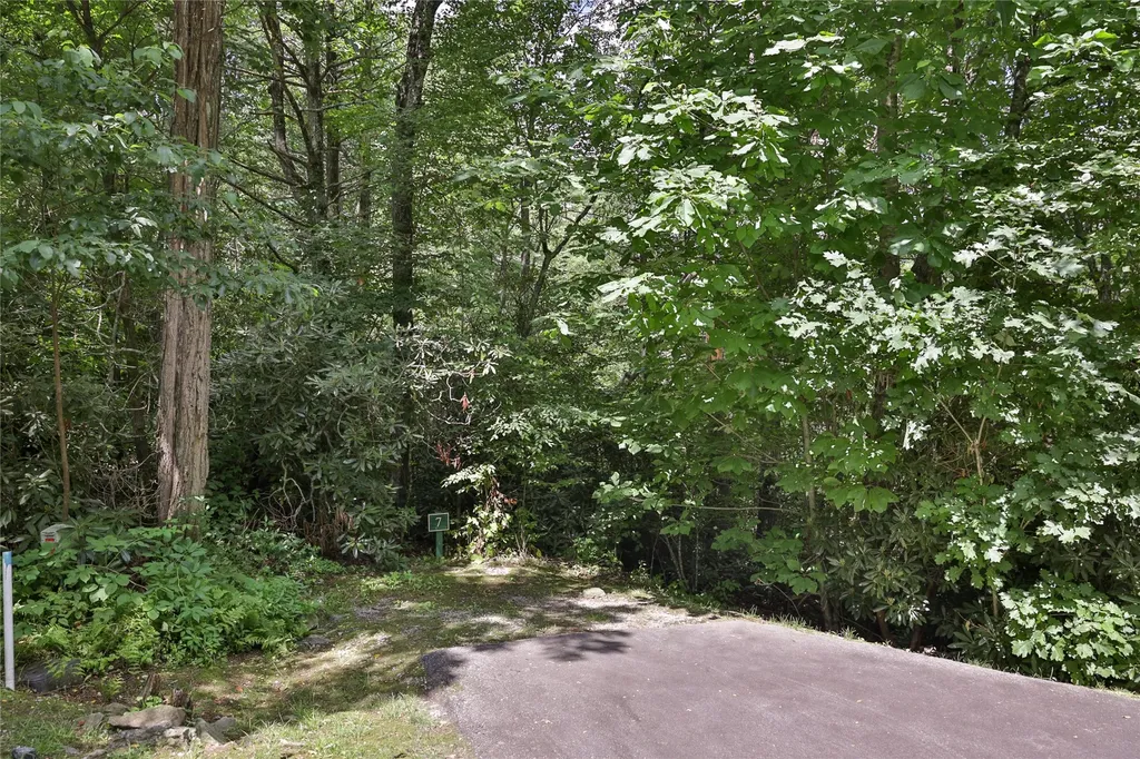 364 Cross Creek Trail Cullowhee NC 28723