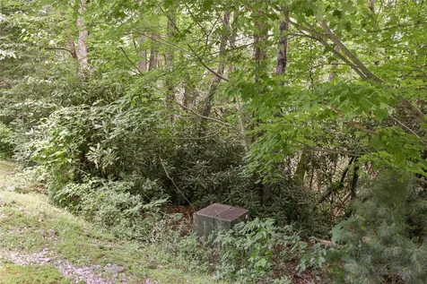 364 Cross Creek Trail Cullowhee NC 28723