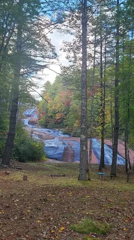 221 Toxaway Falls Drive Lake Toxaway NC 28747