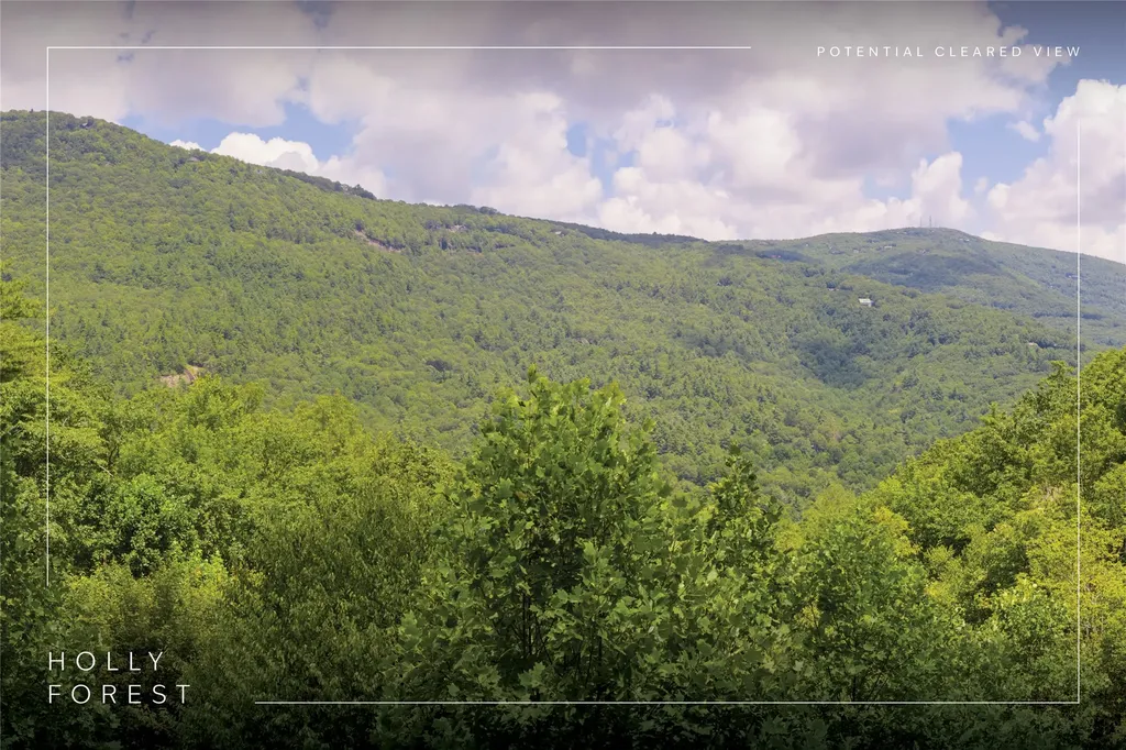 Lot 91 Bald Eagle Court Sapphire NC 28774