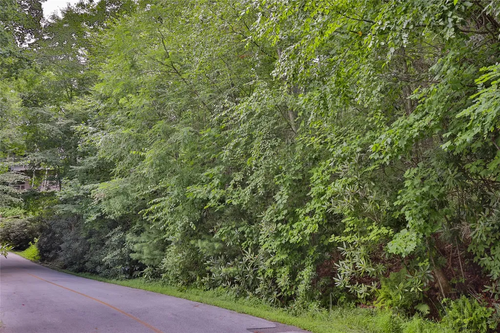 Lot 91 Bald Eagle Court Sapphire NC 28774