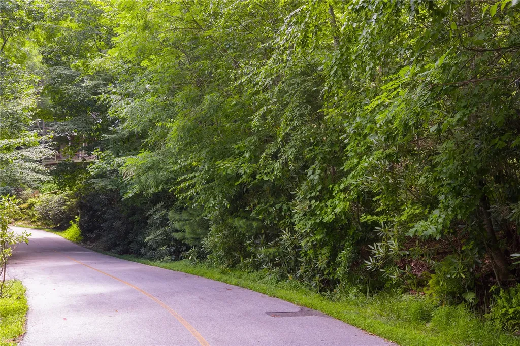 Lot 91 Bald Eagle Court Sapphire NC 28774