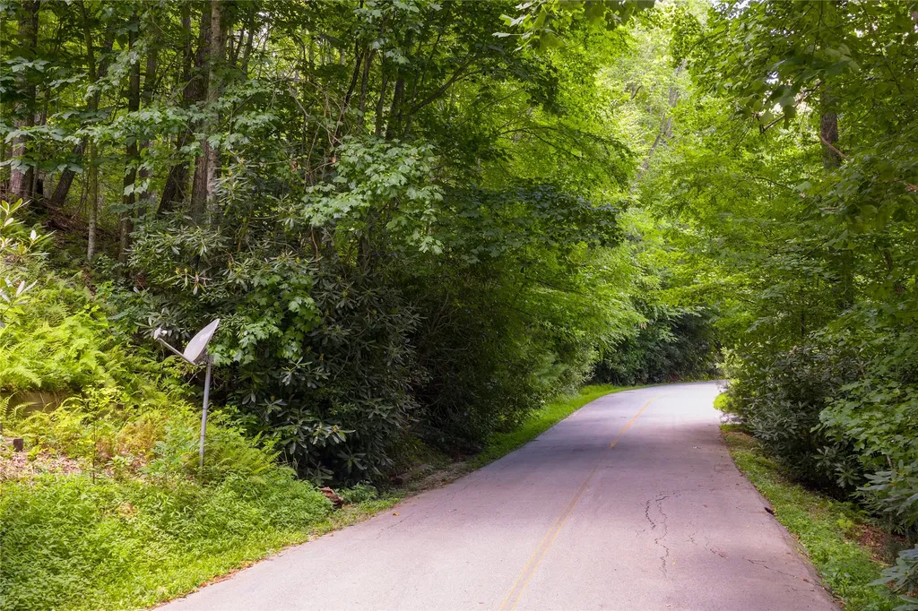 Lot 91 Bald Eagle Court Sapphire NC 28774