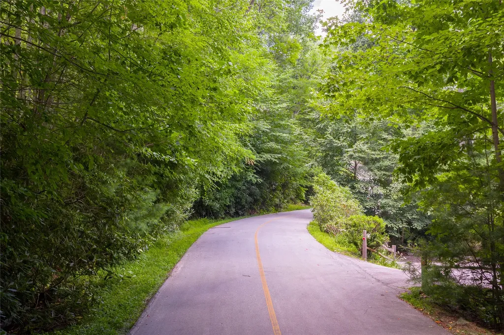 Lot 91 Bald Eagle Court Sapphire NC 28774