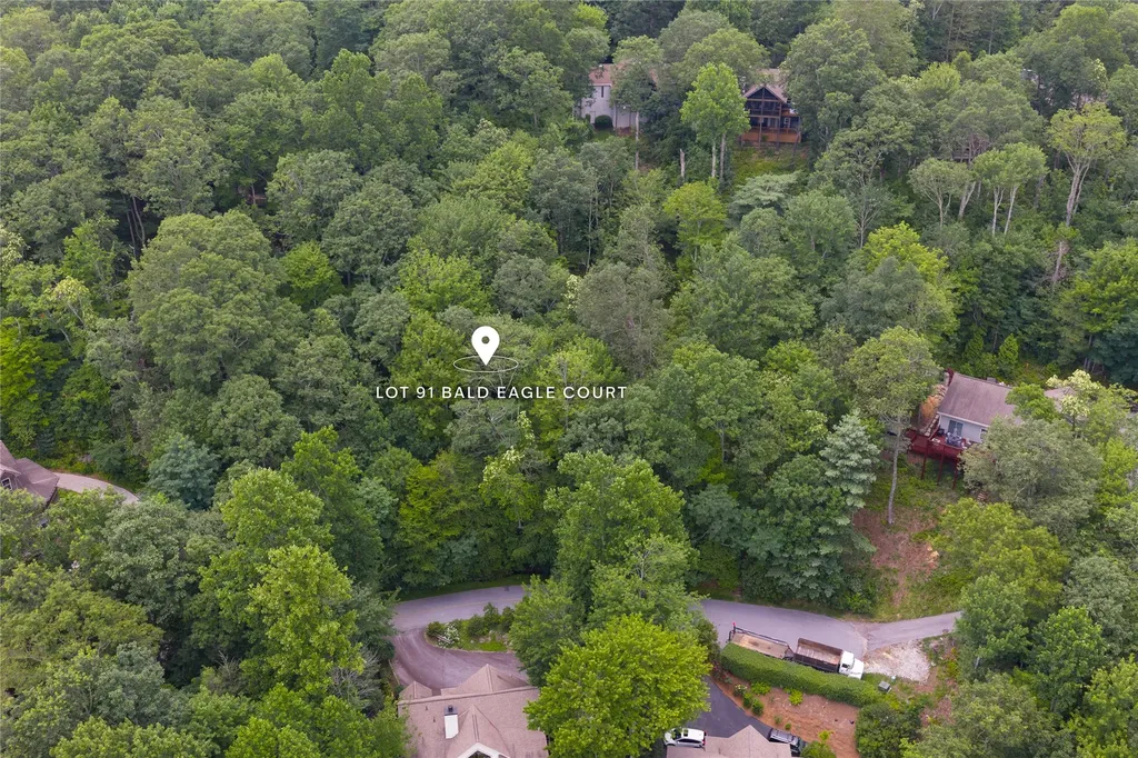 Lot 91 Bald Eagle Court Sapphire NC 28774