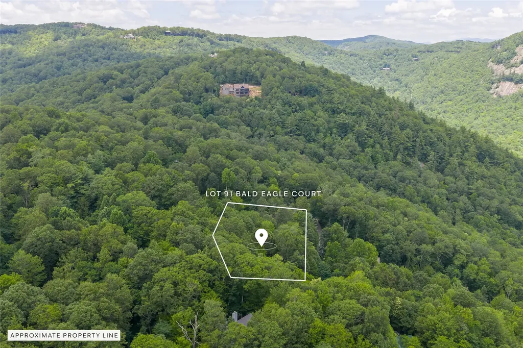 Lot 91 Bald Eagle Court Sapphire NC 28774
