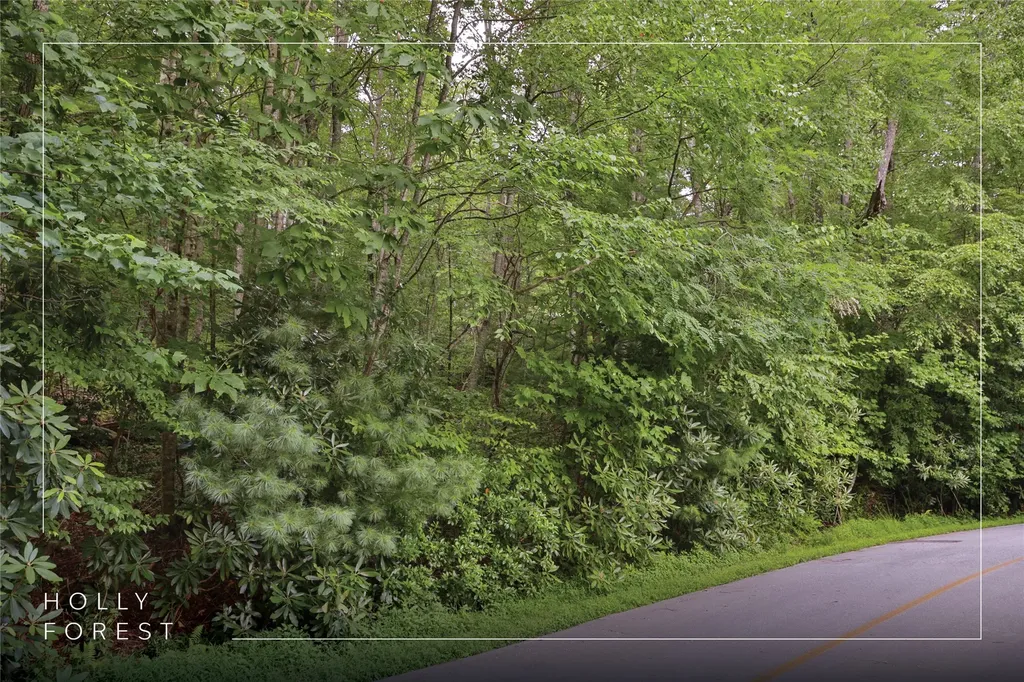 Lot 91 Bald Eagle Court Sapphire NC 28774