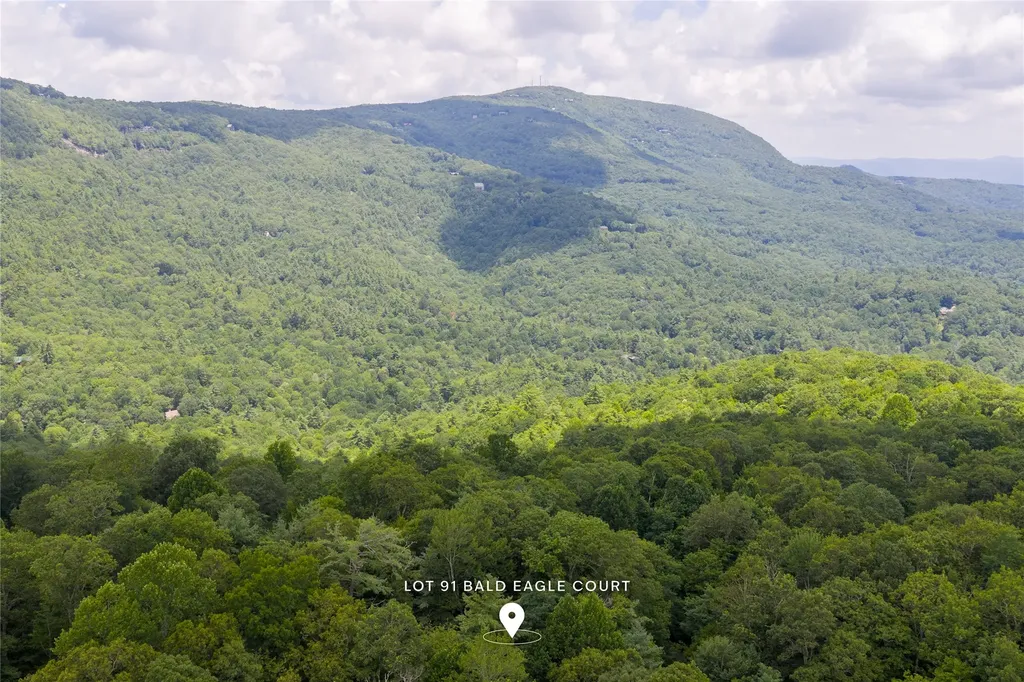 Lot 91 Bald Eagle Court Sapphire NC 28774
