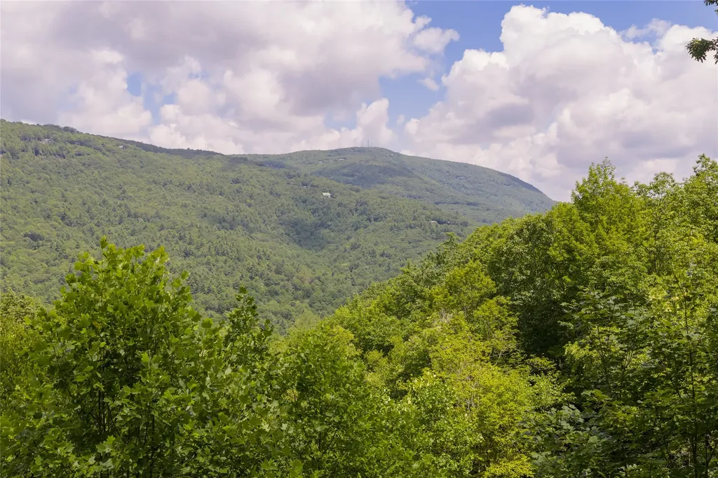 Lot 91 Bald Eagle Court Sapphire NC 28774