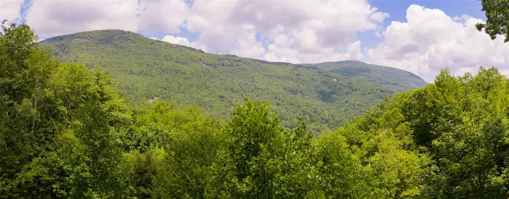 Lot 91 Bald Eagle Court Sapphire NC 28774