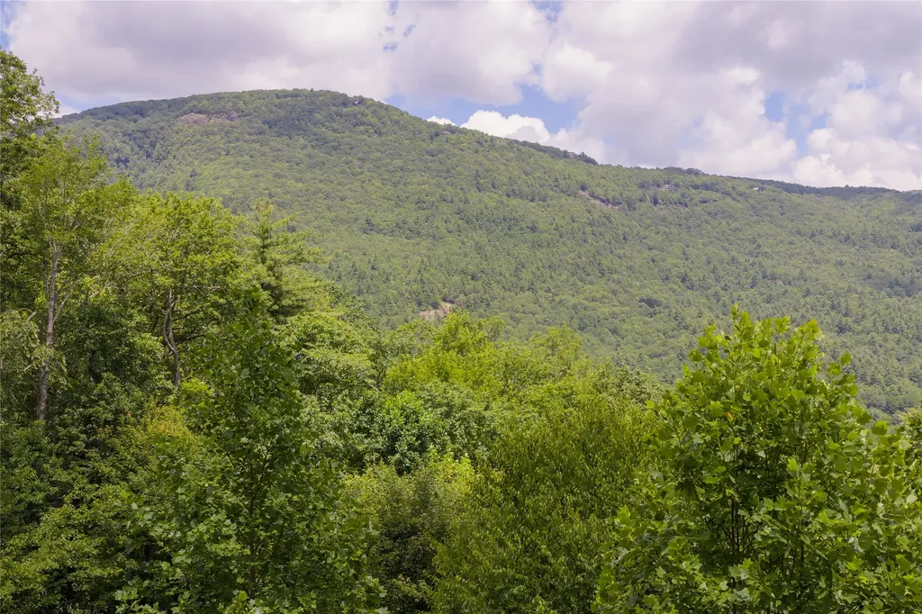 Lot 91 Bald Eagle Court Sapphire NC 28774