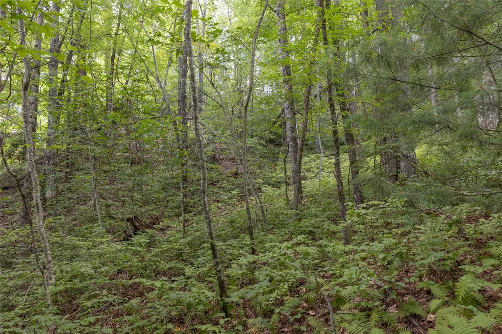Lot 91 Bald Eagle Court Sapphire NC 28774