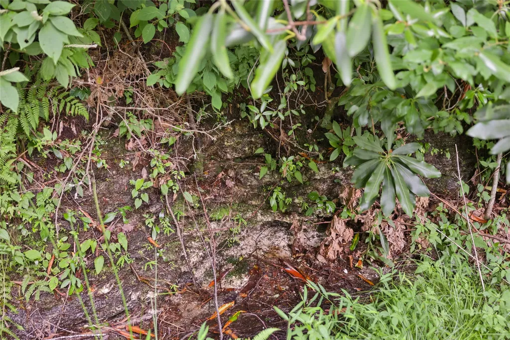 Lot 91 Bald Eagle Court Sapphire NC 28774