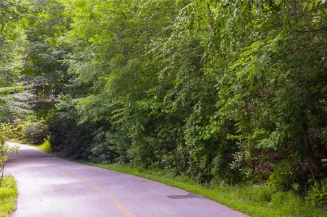 Lot 91 Bald Eagle Court Sapphire NC 28774