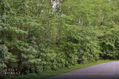 Lot 91 Bald Eagle Court Sapphire NC 28774